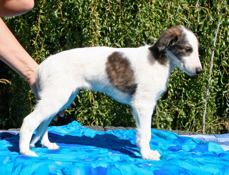 Surf Spots - Boy 1 Right